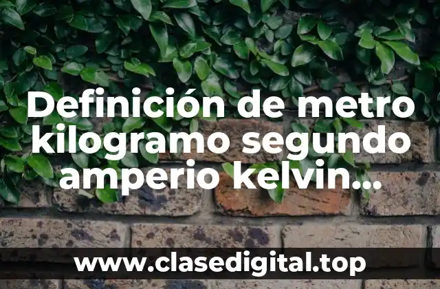 Definición de metro kilogramo segundo amperio kelvin candela mol