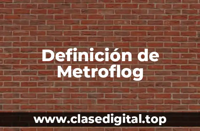 Definición de Metroflog