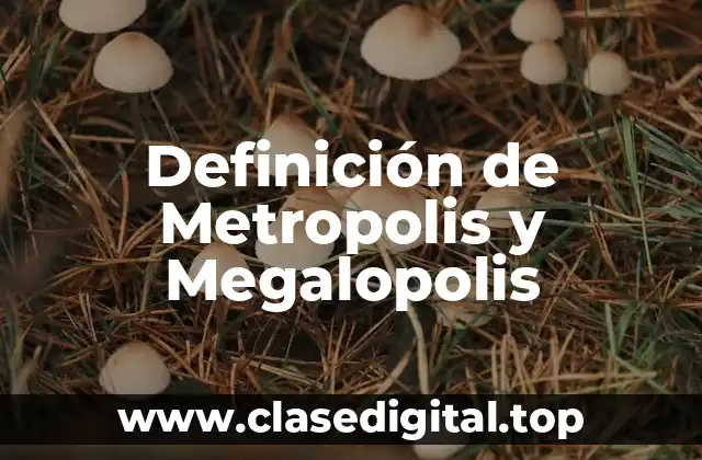 Definición de Metropolis y Megalopolis