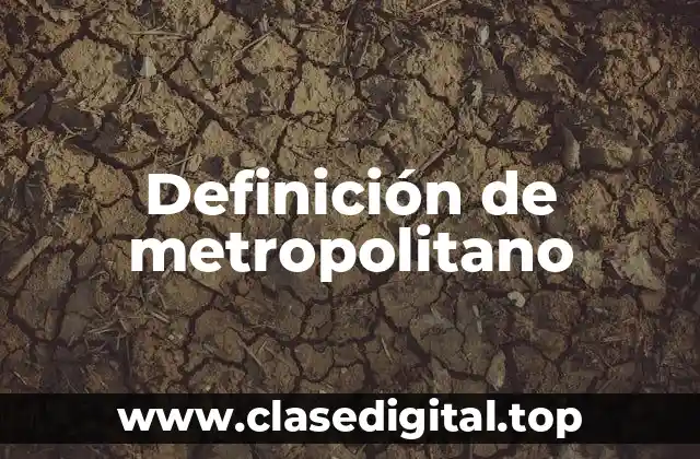 Definición de metropolitano