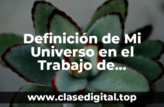 Definición de Mi Universo en el Trabajo de Investigación