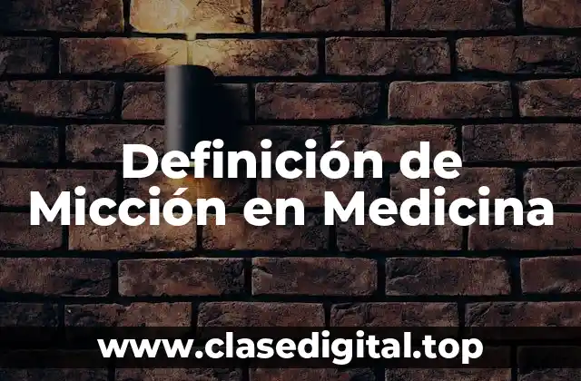 Definición de Micción en Medicina