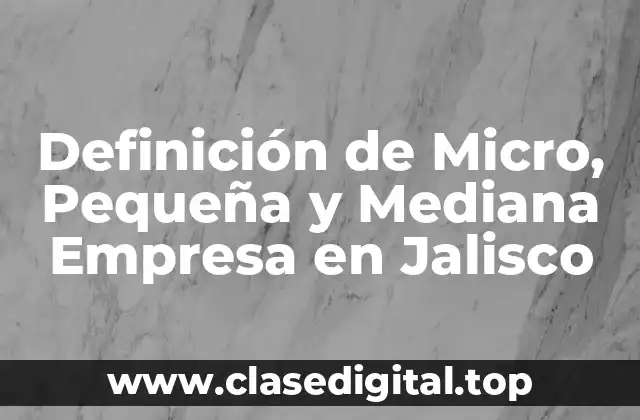 Definición de Micro, Pequeña y Mediana Empresa en Jalisco
