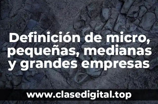 Definición de micro, pequeñas, medianas y grandes empresas