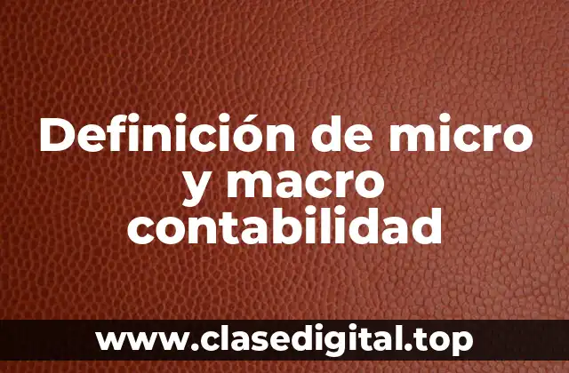 Definición de micro y macro contabilidad
