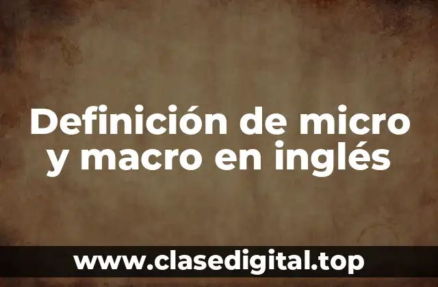 Definición de micro y macro en inglés