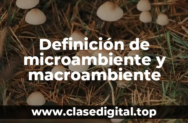 Definición de microambiente y macroambiente