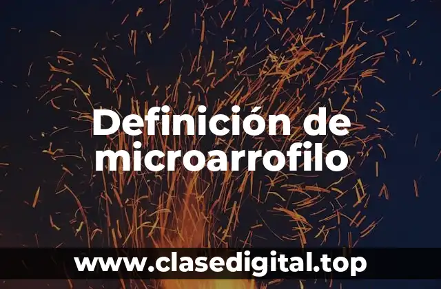 Definición de microarrofilo