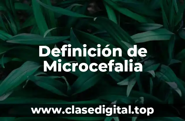 Definición de Microcefalia