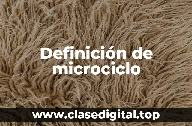 Definición de microciclo