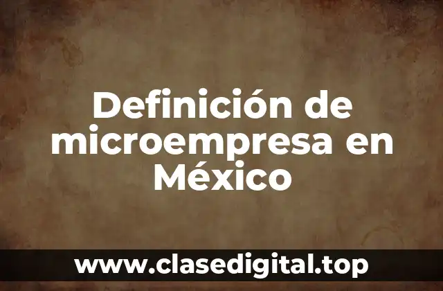 Definición de microempresa en México