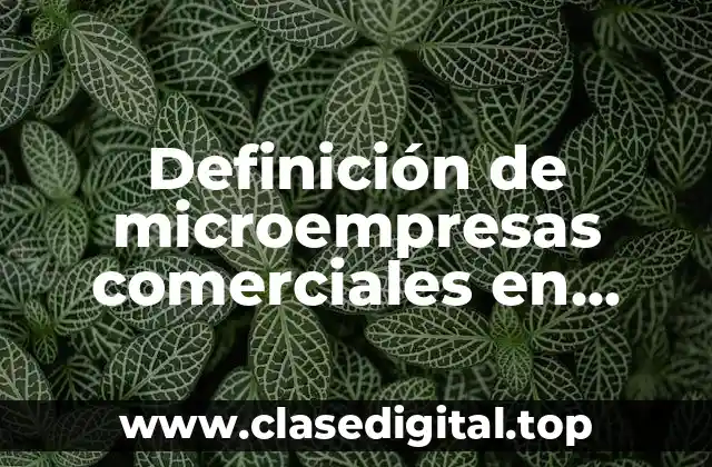 Definición de microempresas comerciales en Tuxtla Gutiérrez