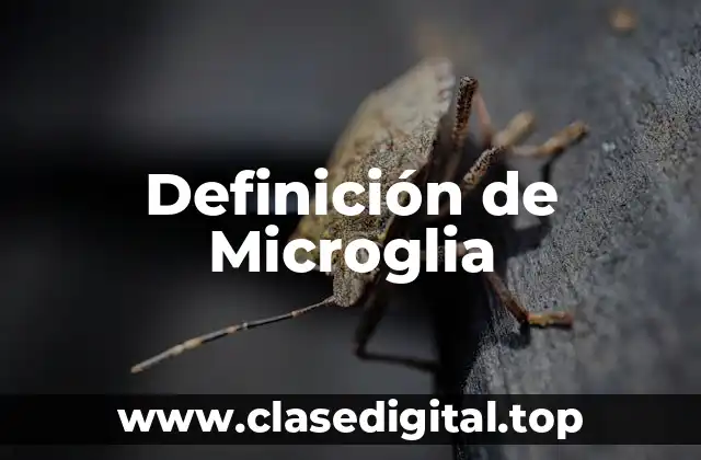 Definición de Microglia