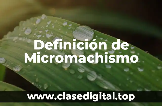 Definición técnica de Micromachismo