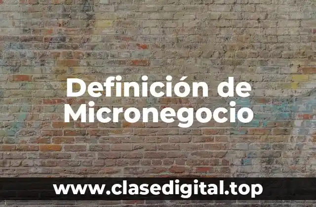 Definición técnica de Micronegocio