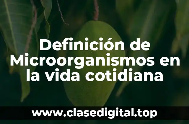 Definición de Microorganismos en la vida cotidiana