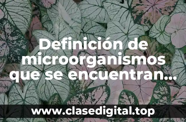 Definición de microorganismos que se encuentran en ecosistemas acuáticos