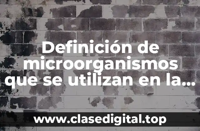 Definición de microorganismos que se utilizan en la fermentación alcohólica