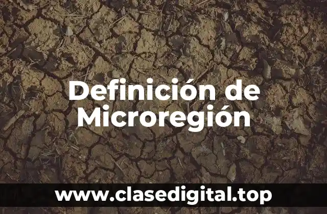 Definición técnica de microregión