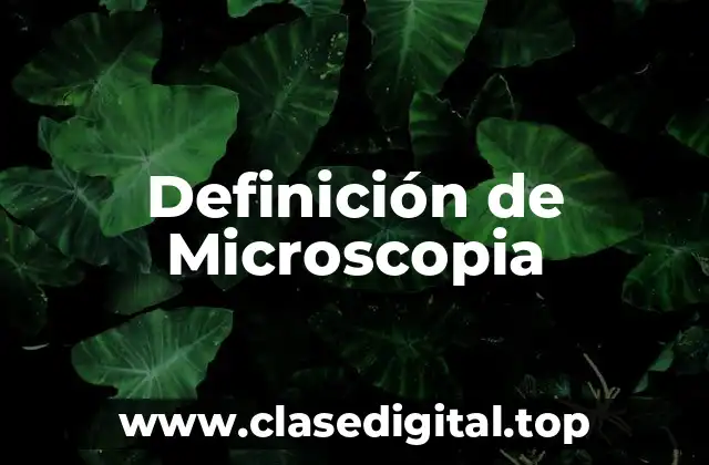 Definición técnica de Microscopia