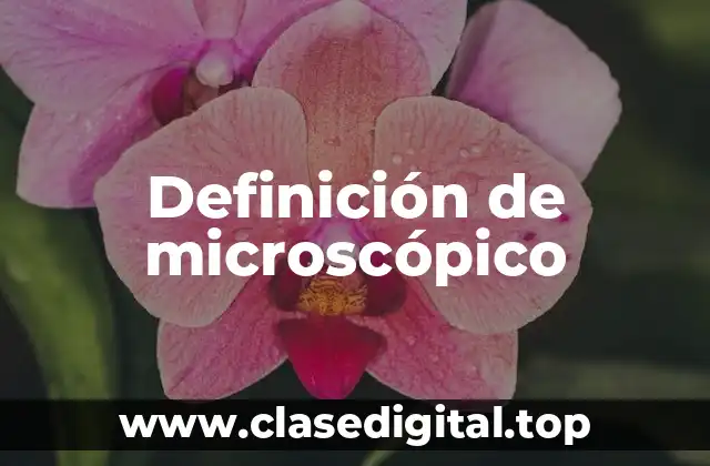 Definición de microscópico