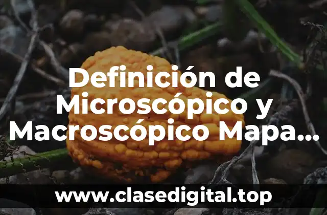 Definición Técnica de Microscópico