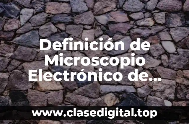 Definición de Microscopio Electrónico de Barrido en Criminalística