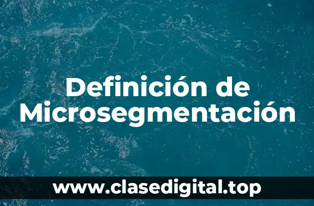 Definición de Microsegmentación