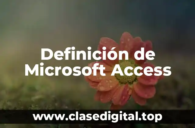 Definición de Microsoft Access