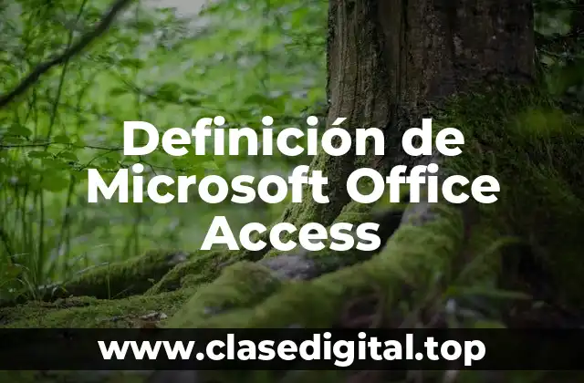 Definición de Microsoft Office Access