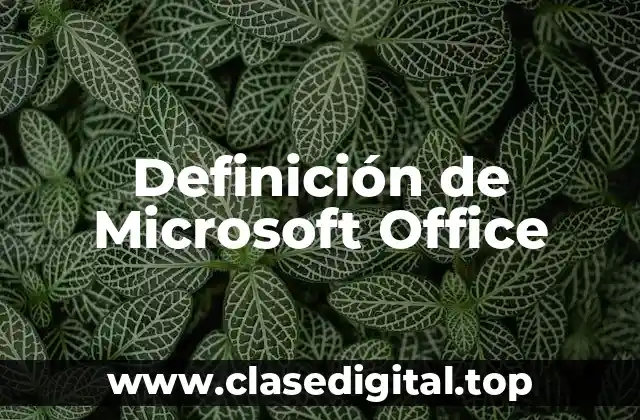 Definición técnica de Microsoft Office