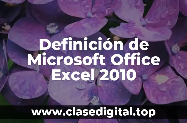 Definición de Microsoft Office Excel 2010