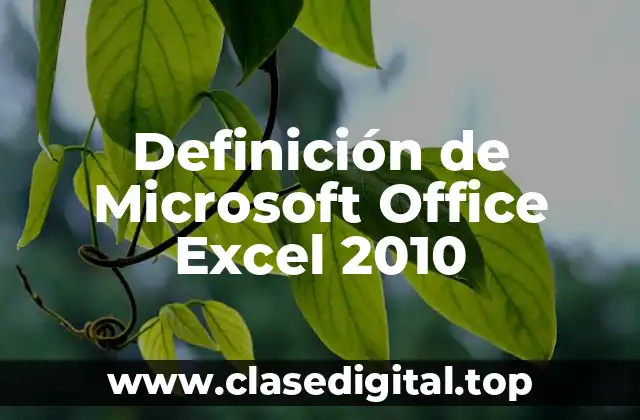 Definición técnica de Microsoft Office Excel 2010