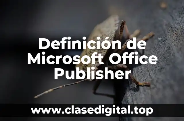 Definición técnica de Microsoft Office Publisher