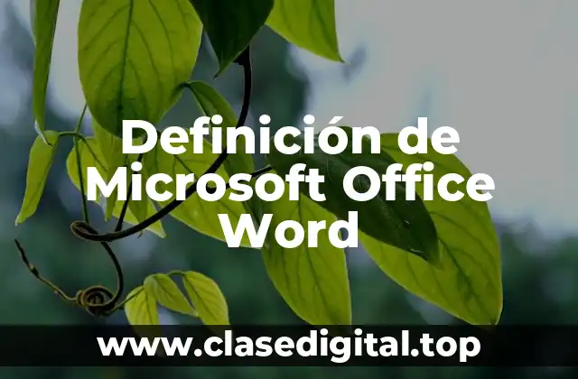 Definición técnica de Microsoft Office Word