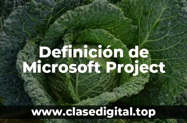 Ejemplos de Microsoft Project