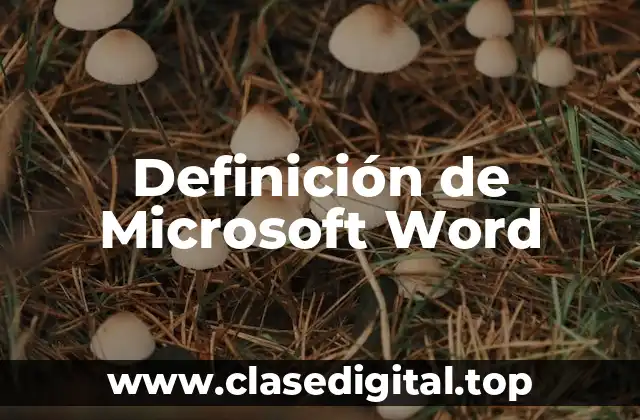 Definición técnica de Microsoft Word