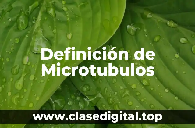 Definición de Microtubulos