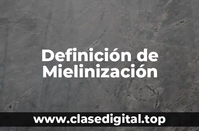 Definición de Mielinización