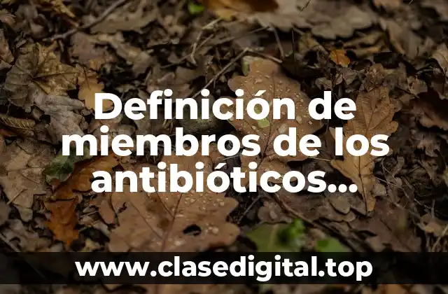 Definición de miembros de los antibióticos betaláctamicos