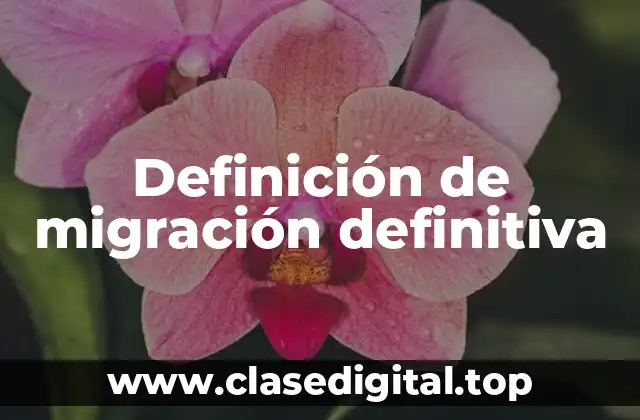 Definición de migración definitiva