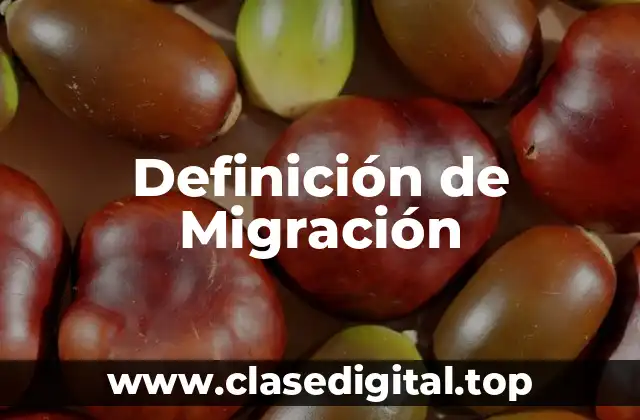Definición técnica de migración