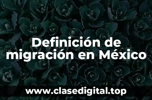 Definición de migración en México