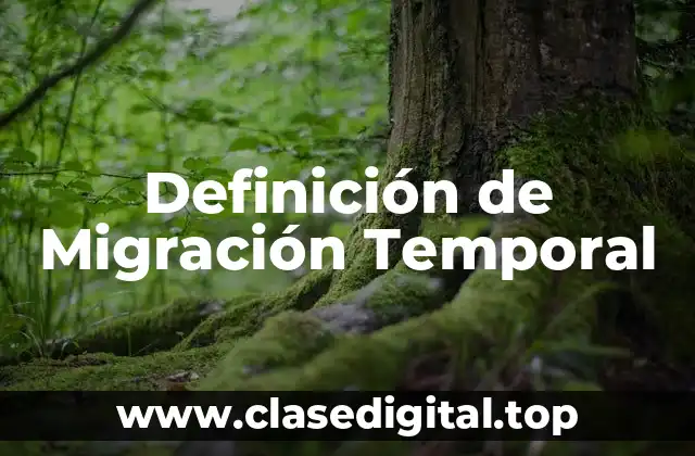 Definición técnica de Migración Temporal