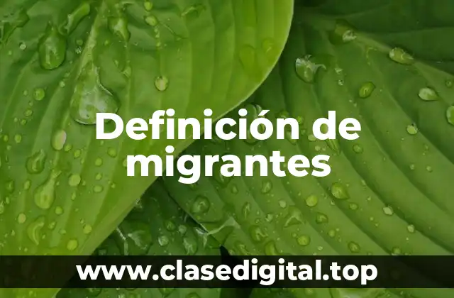 Definición técnica de migrante