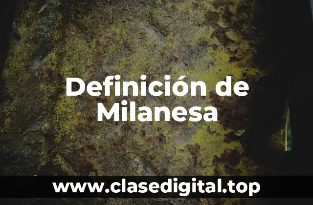 Definición de Milanesa