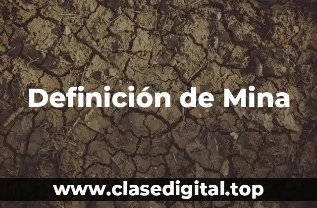 Definición de Mina