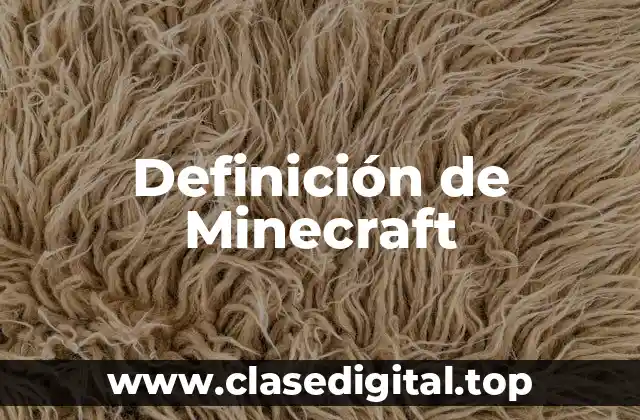 Definición de Minecraft