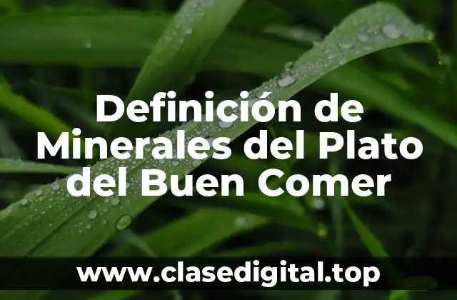 Definición de Minerales del Plato del Buen Comer