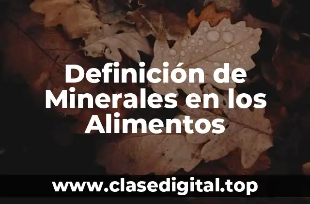 Definición Técnica de Minerales en los Alimentos